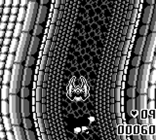 Canyon Racer - Screenshot - Gameplay (World) - 160x144