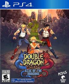 Double Dragon Gaiden: Rise of the Dragons - Fanart - Box - Front (null) - 805x986