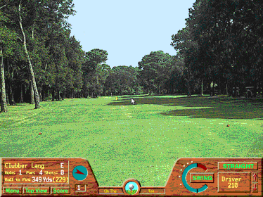 Picture Perfect Golf - Screenshot - Gameplay (null) - 640x480