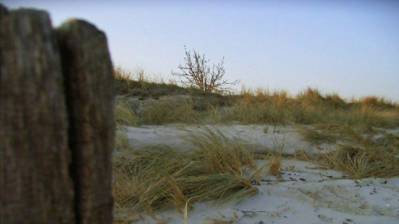 Chillax HD - Screenshot - Gameplay (World) - 1000x562