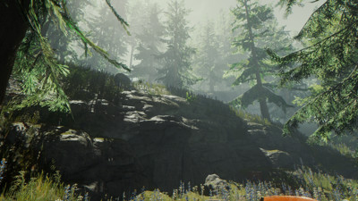 The Forest - Screenshot - Gameplay (null) - 1920x1080