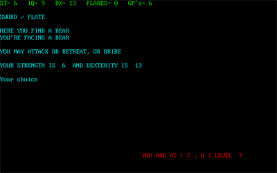 Amulet of Yendor - Screenshot - Gameplay (null) - 640x400