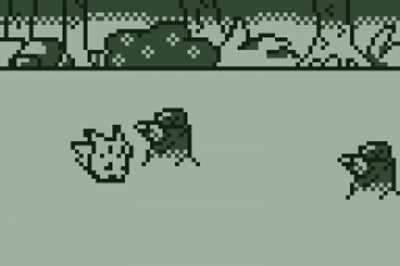 Wooloo's Run Away - Screenshot - Gameplay (World) - 320x213