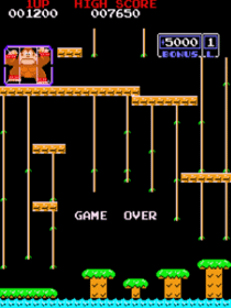 Donkey Kong 3 - Screenshot - Game Over (null) - 480x640