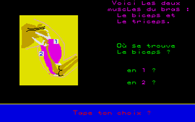 A la decouverte de l'homme - Screenshot - Gameplay (null) - 320x200