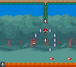 Illustration of Ninja World 2