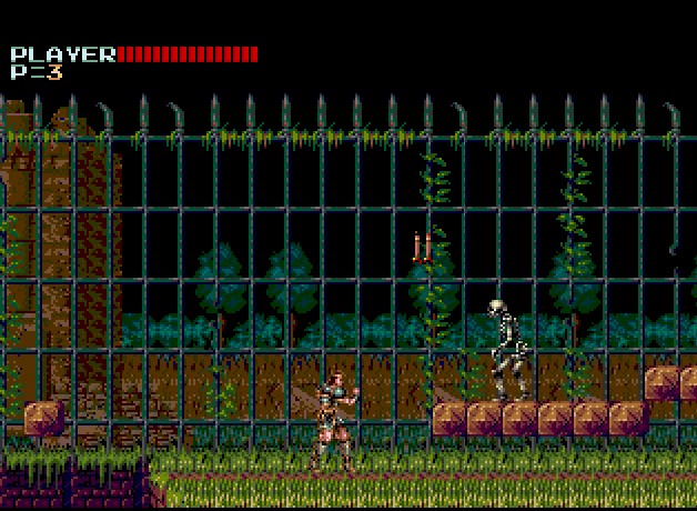 Illustration of Mega Castlevania IV