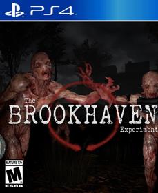 The Brookhaven Experiment - Fanart - Box - Front (null) - 805x986