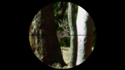 Fierce Game Hunting - Screenshot - Gameplay (World) - 1000x562