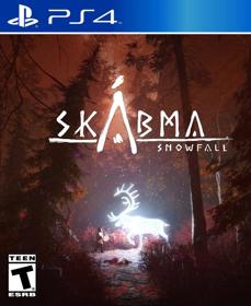 Skabma: Snowfall - Fanart - Box - Front (null) - 805x986