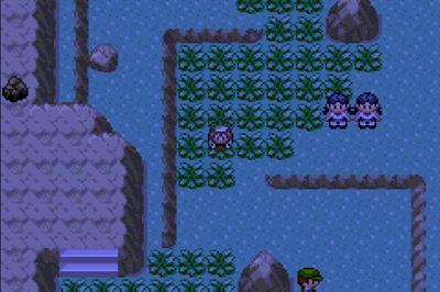 Pokémon Conversion Emerald - Screenshot - Gameplay (null) - 720x480