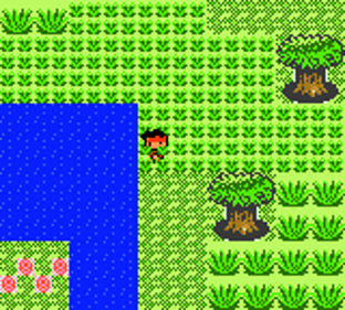 Pokémon Orb - Screenshot - Gameplay (World) - 160x144