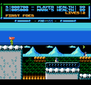 Tomb of Ice - Screenshot - Gameplay (World) - 256x240