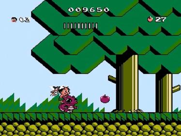 Adventure Island 3 - Screenshot - Gameplay (null) - 1440x1080