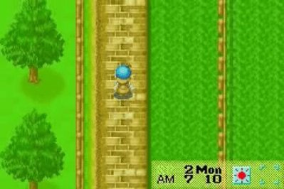 Harvest Moon: Friends of Mineral Town - Screenshot - Gameplay (null) - 360x240