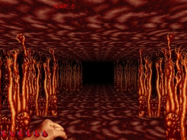 SplatterHouse 3D: Gold Edition - Screenshot - Gameplay (null) - 640x480