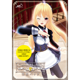 Custom Maid 3D - Advertisement Flyer - Front (World) - 500x500