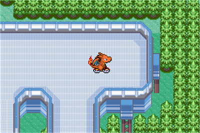 Pokémon Derpizard - Screenshot - Gameplay (null) - 240x160