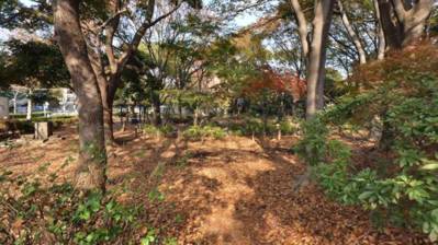 Japanorama - Screenshot - Gameplay (World) - 1000x562