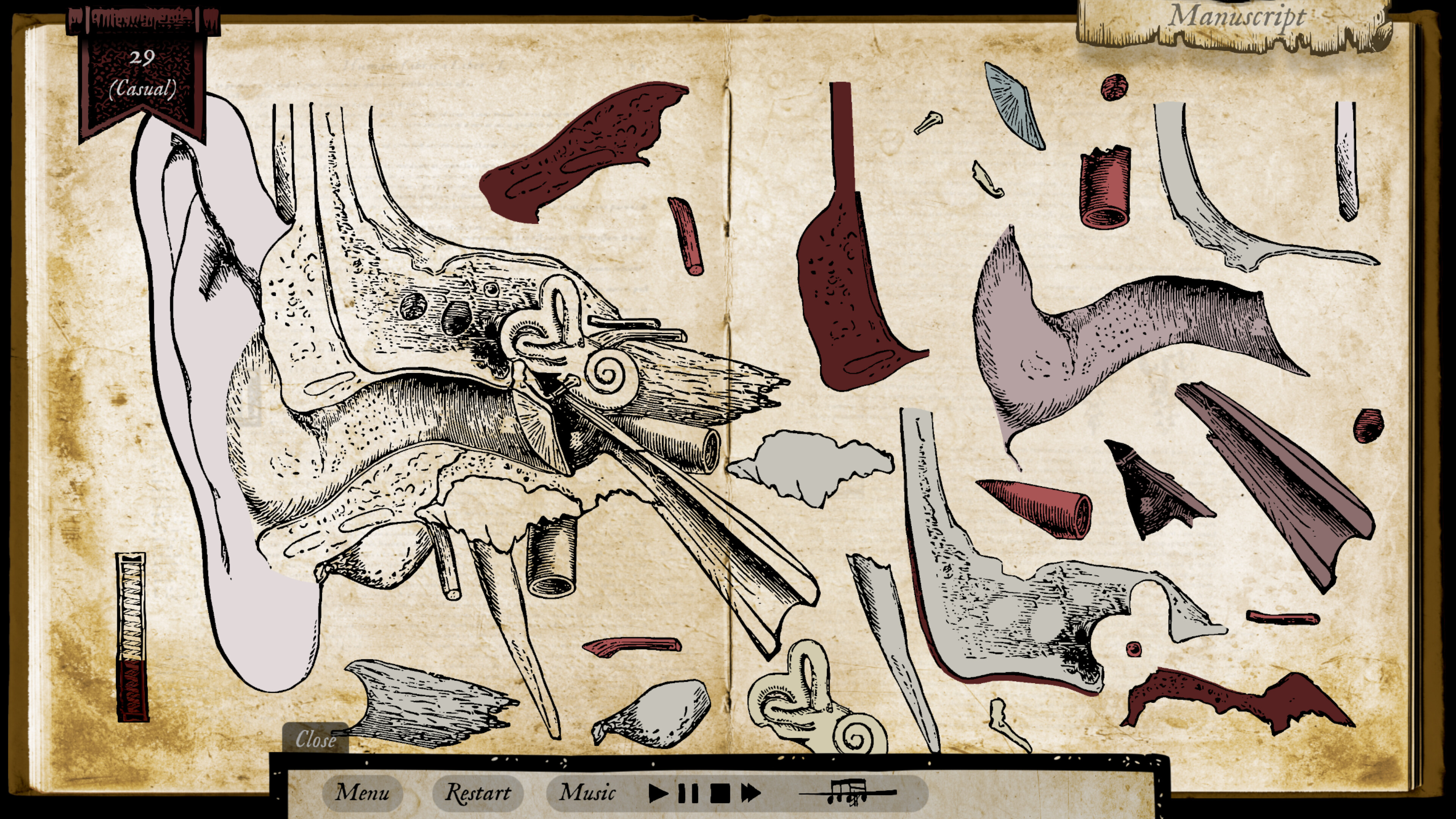 Illustration of Wound Man