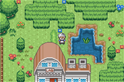 Pokémon Drab Conspiracy - Screenshot - Gameplay (null) - 240x160