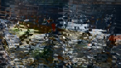 Ninja Gaiden II Black - Screenshot - Gameplay (null) - 1920x1080