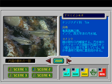 Hyper Aquarium: Tansui-hen - Screenshot - Gameplay (null) - 640x480
