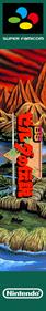 BS Zelda no Densetsu - Box - Spine (Japan) - 342x2284