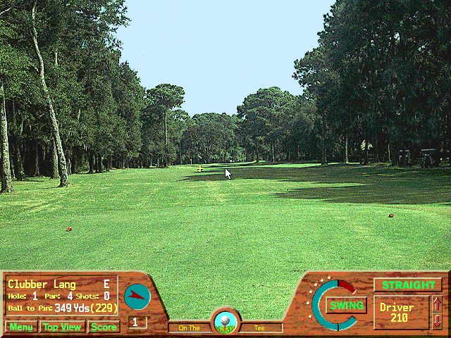 Illustration of Picture Perfect Golf