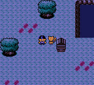 Pokémon Crystal Mirror - Screenshot - Gameplay (World) - 160x144
