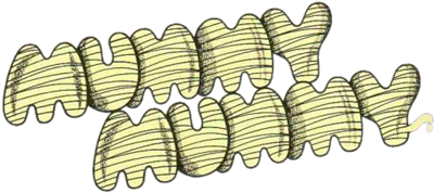 Mummy Mummy - Clear Logo (null) - 485x217