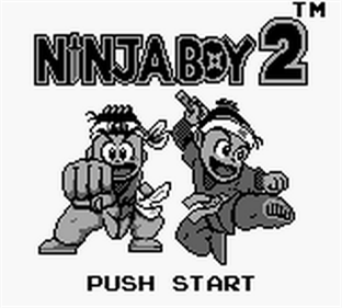Ninja Boy 2 - Screenshot - Game Title Image