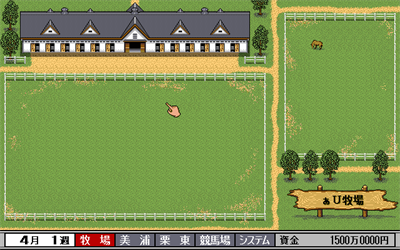 Derby Stallion Expert Kit - Screenshot - Gameplay Image