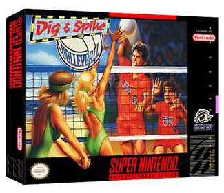 Dig & Spike Volleyball - Box - 3D Image