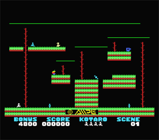 Boogie Woogi Jungle - Screenshot - Gameplay Image