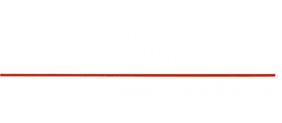 Harrier Combat Simulator - Clear Logo Image