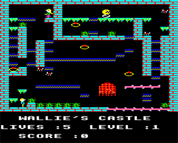 Wallie's Castle - Screenshot - Gameplay Image