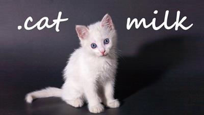 .cat Milk - Box - Front Image