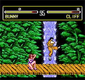 Fighter Legend - Screenshot - Gameplay Image