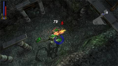 Untold Legends: Brotherhood of the Blade - Screenshot - Gameplay Image