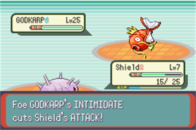 Pokémon Derp Emerald - Screenshot - Gameplay Image