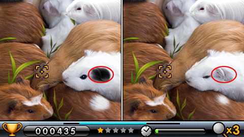 Spot the Differences