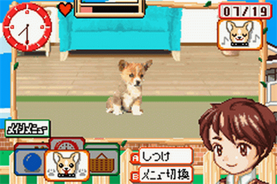 Kawaii Pet Game Gallery - Screenshot - Gameplay Image