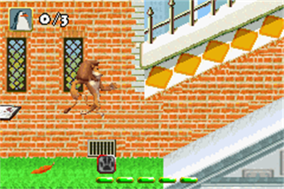 Madagascar - Screenshot - Gameplay Image