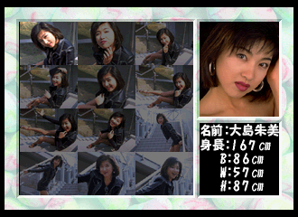 Private Idol Disc Vol. 3: Oshima Akemi