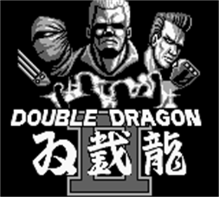 Double Dragon II - Screenshot - Game Title Image