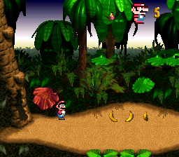 DKC X Mario