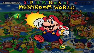 super mario bros 2 mushroom world vastle