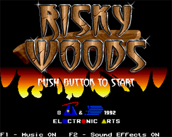 Risky Woods - Screenshot - Game Title Image