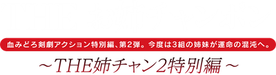 Onechanbara: The Oneechan 2 Special Edition (Simple 2000 Series Vol. 101) - Clear Logo Image
